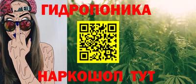 герыч Можга