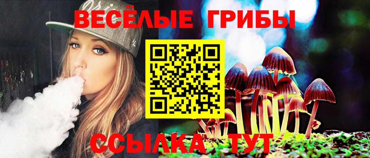 Ивантеевка  как найти закладки  Псилоцибиновые грибы Psilocybe  Вход с VPN  Галлюциногенные грибы прущие грибы 