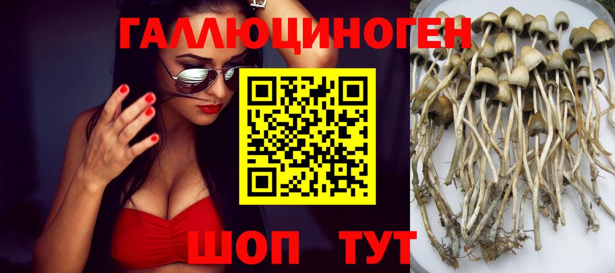 Псилоцибиновые грибы Magic Shrooms Ивантеевка